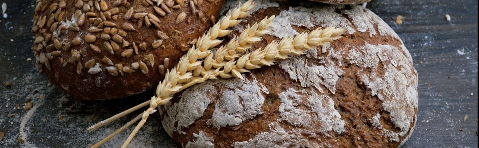 Wrażliwość na gluten – przyczyna postępującej ataksji móżdżkowej i mioklonii