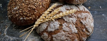 Wrażliwość na gluten – przyczyna postępującej ataksji móżdżkowej i mioklonii